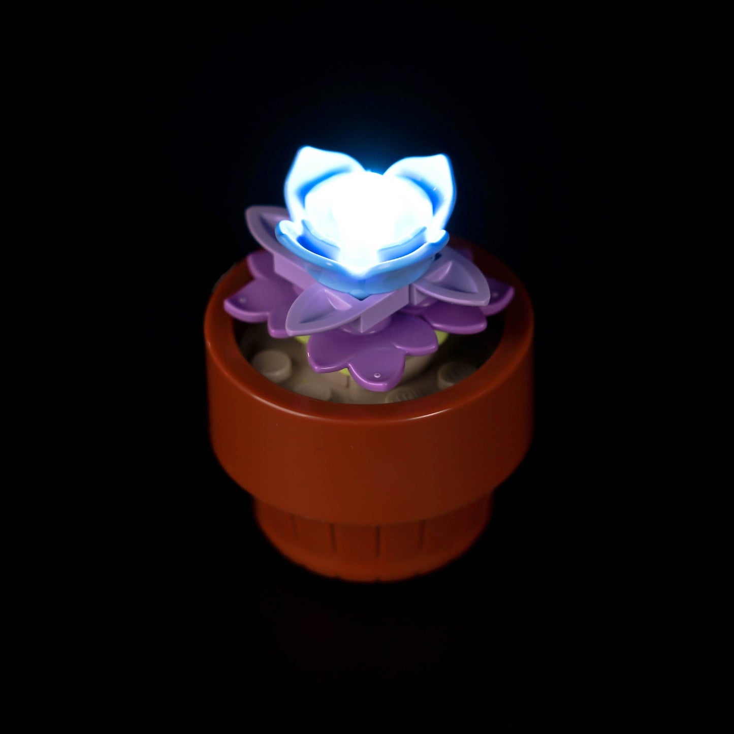 Light Kit For Tiny Plants 10329