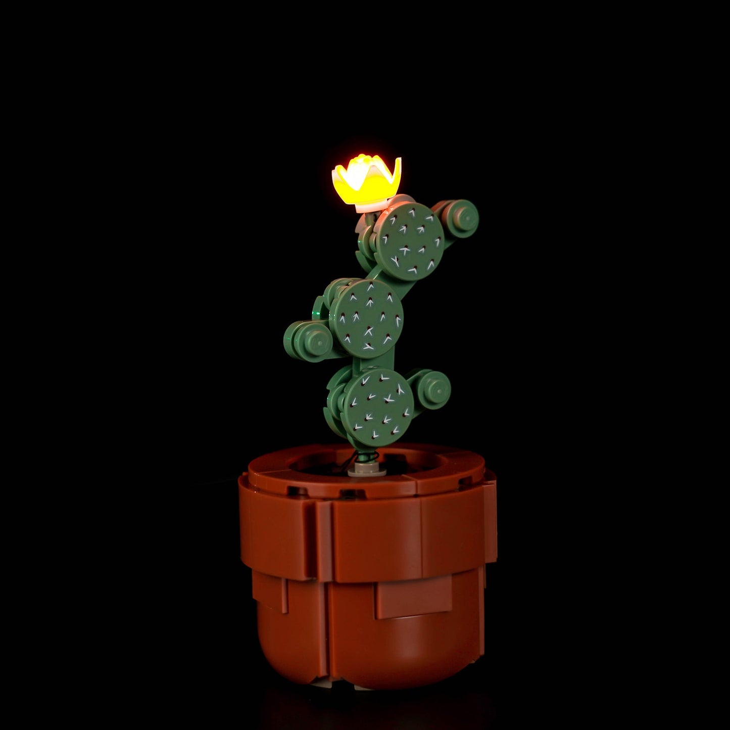 Light Kit For Tiny Plants 10329