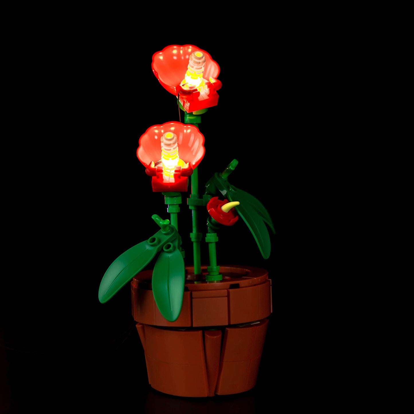 Light Kit For Tiny Plants 10329