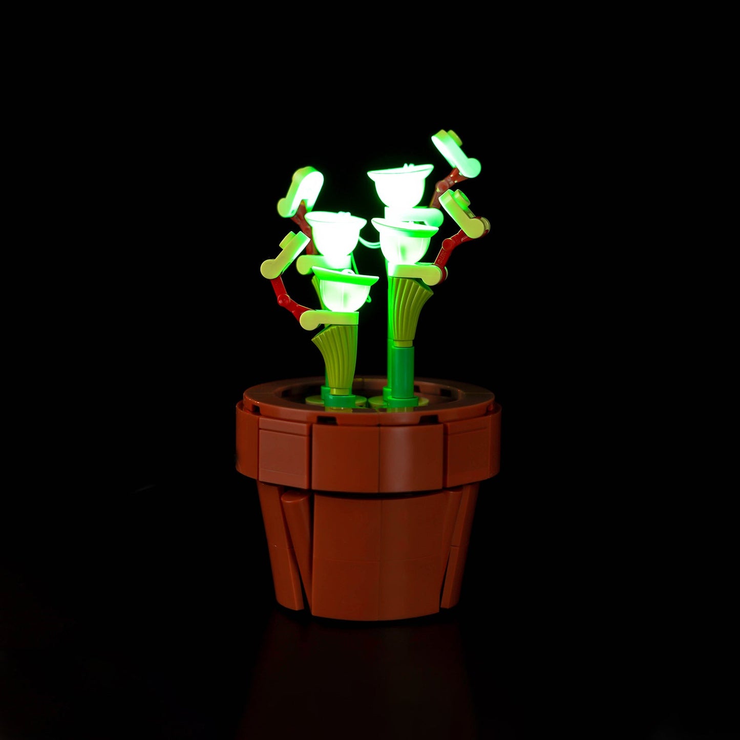 Light Kit For Tiny Plants 10329