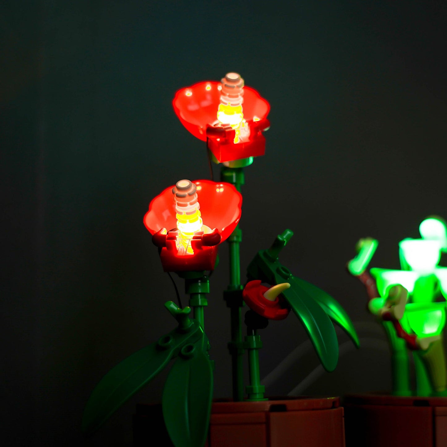 Light Kit For Tiny Plants 10329