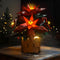 Light Kit for LEGO Icons Poinsettia 10370