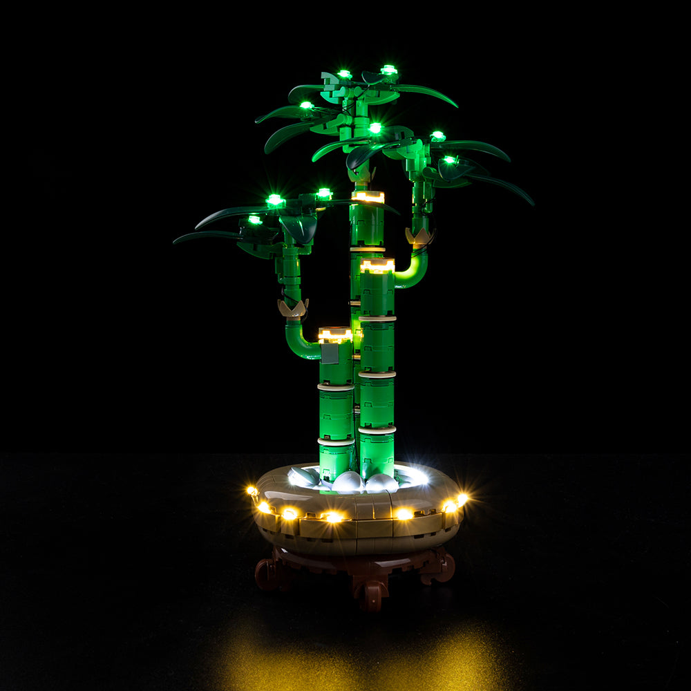 Light Kit for Lucky Bamboo 10344
