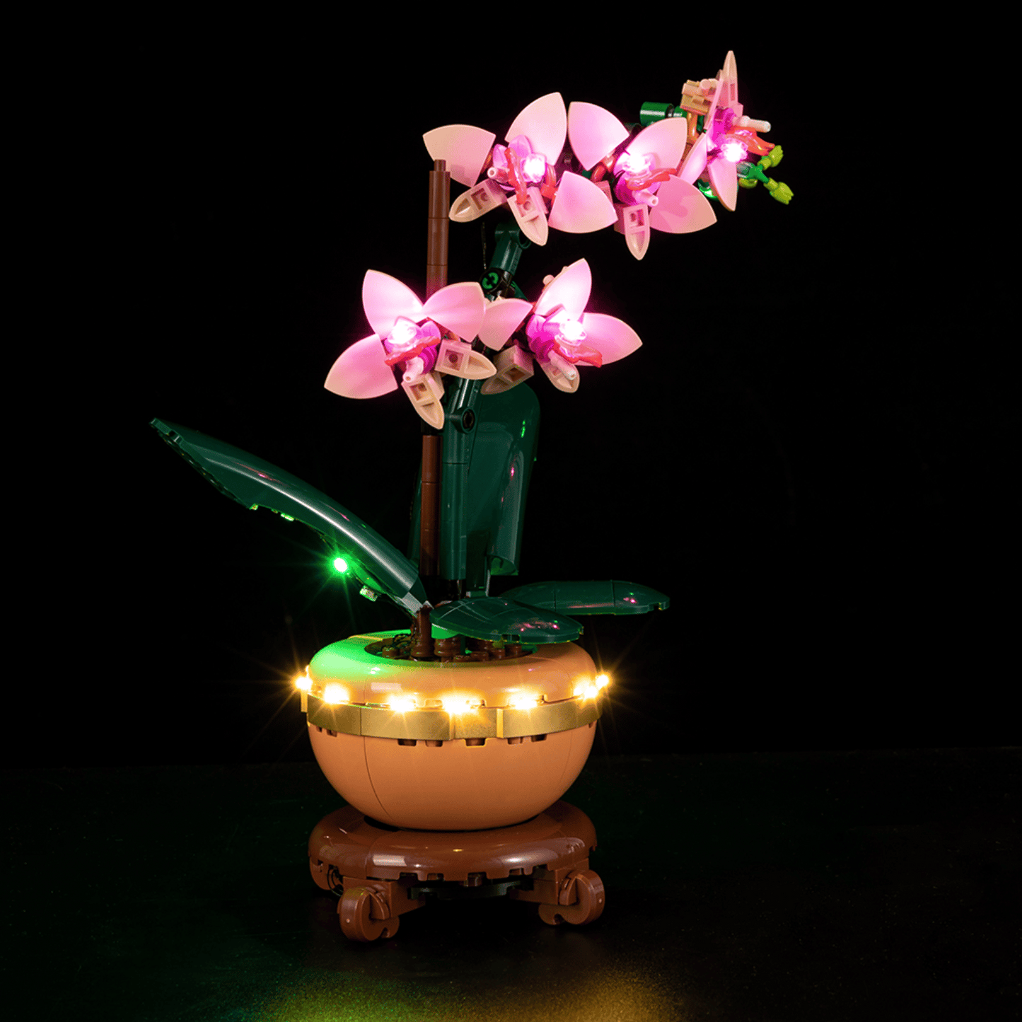 Light Kit for Mini Orchid 10343