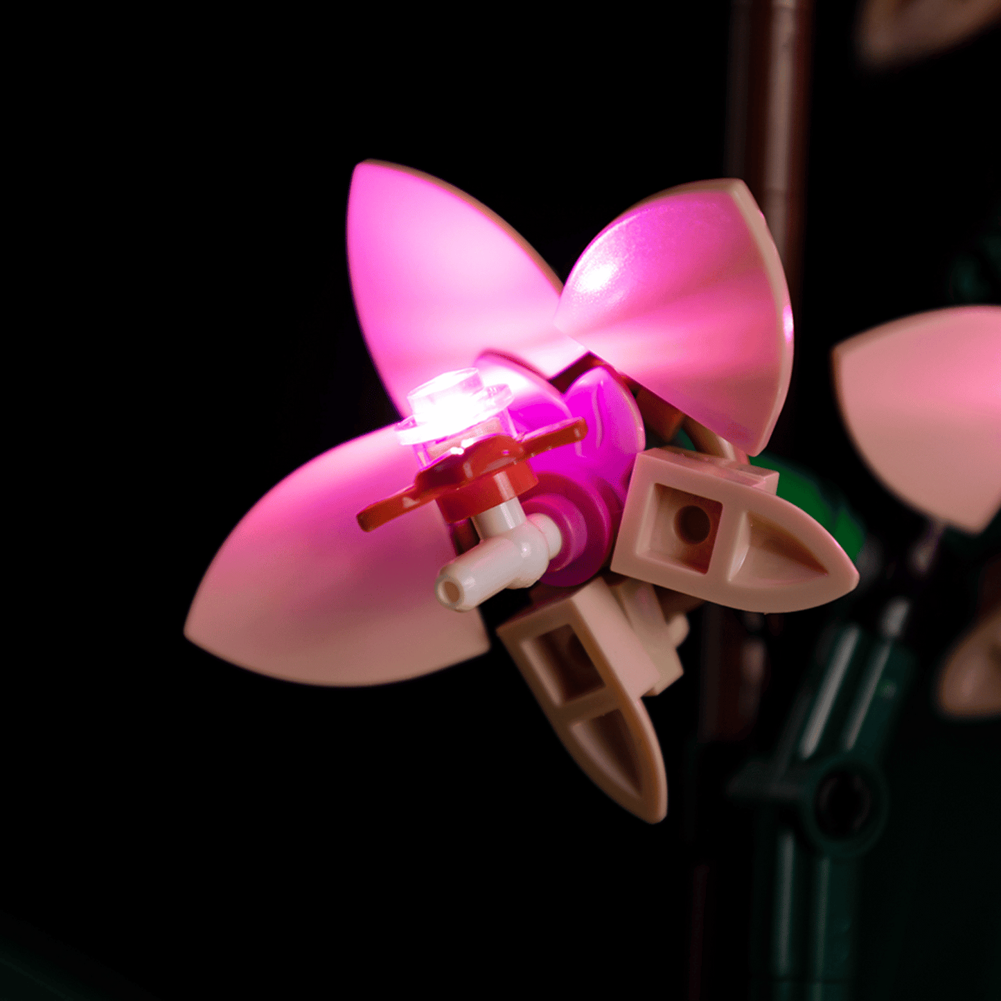 Light Kit for Mini Orchid 10343