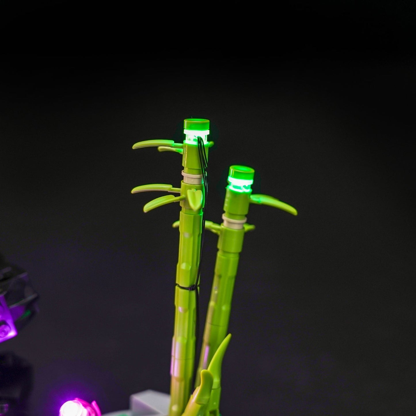 Light Kit for LEGO Creator 3-in-1 Wild Animals: Panda Family 31165