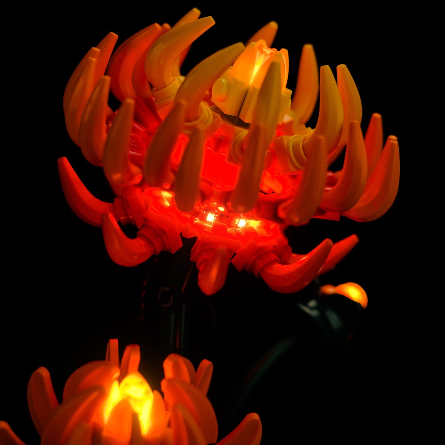 Light Kit For Chrysanthemum 10368