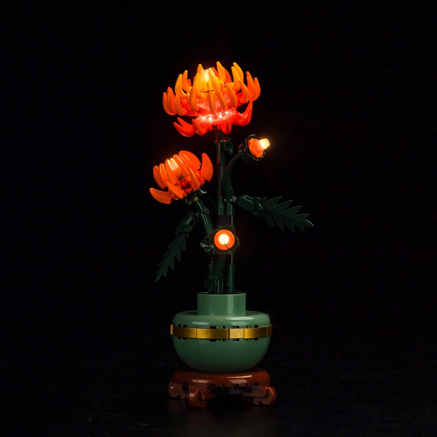 Light Kit For Chrysanthemum 10368