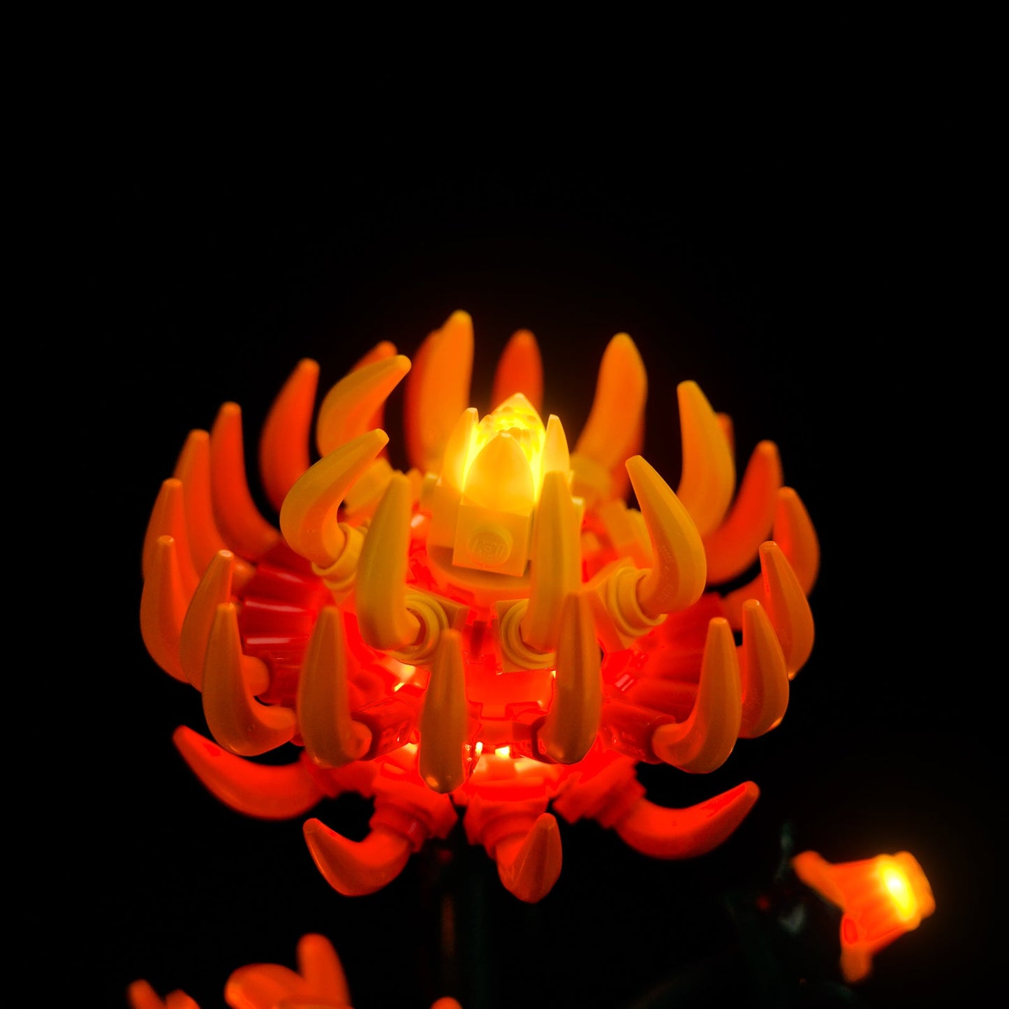 Light Kit For Chrysanthemum 10368