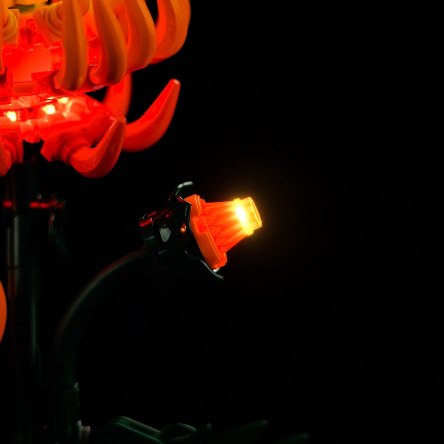 Light Kit For Chrysanthemum 10368