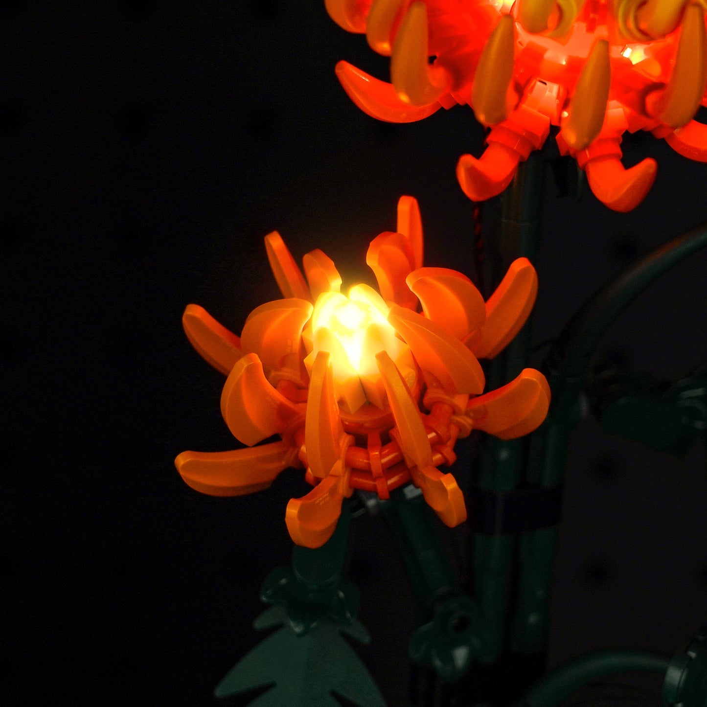 Light Kit For Chrysanthemum 10368