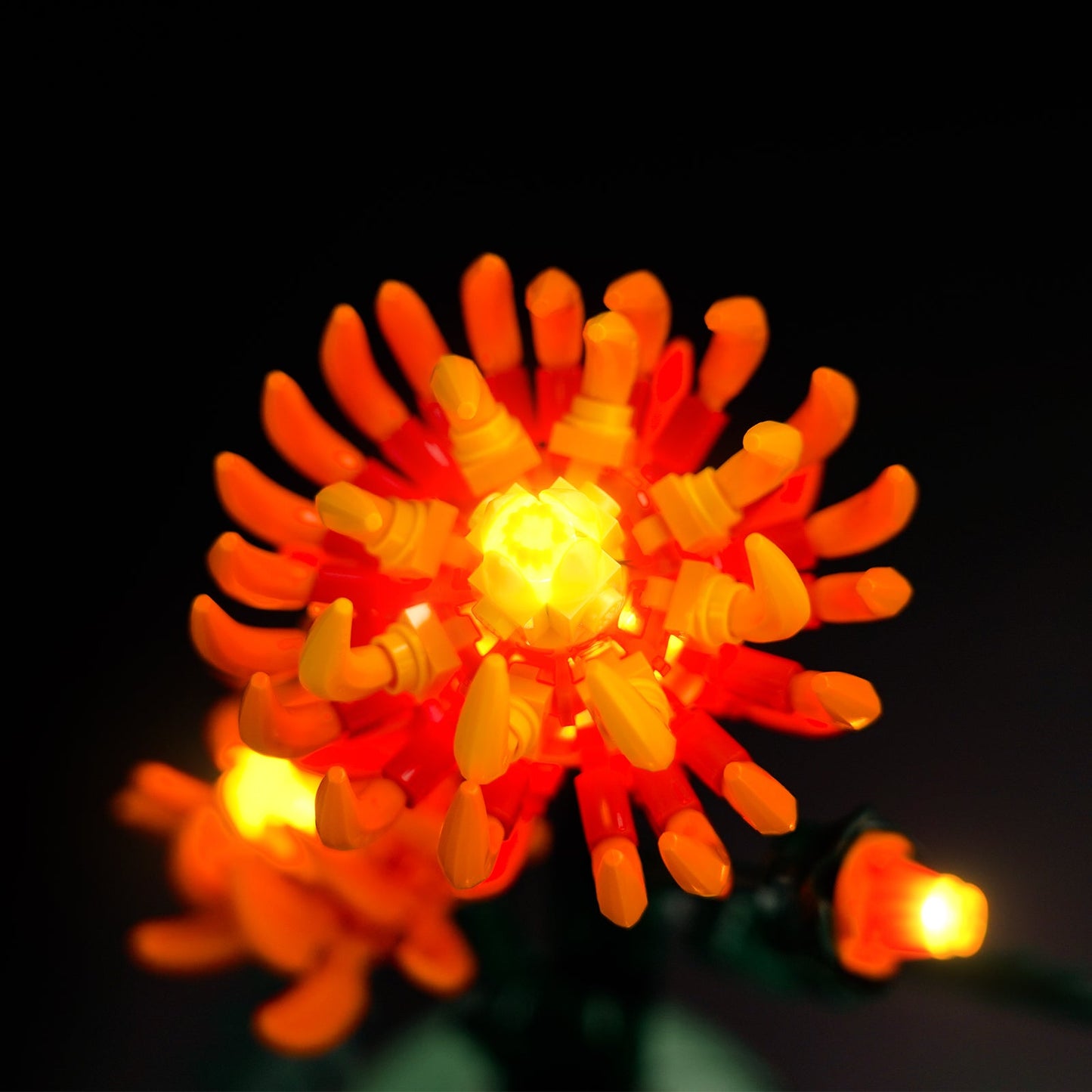 Light Kit For Chrysanthemum 10368
