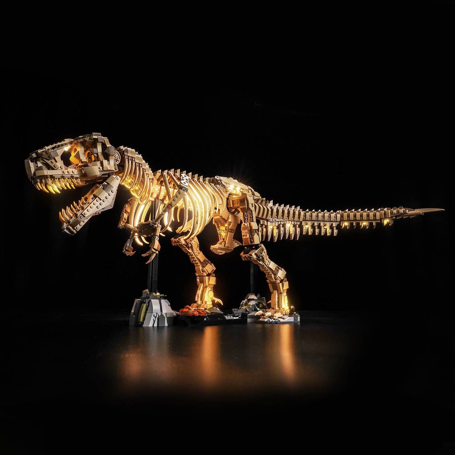 Light Kit for LEGO Jurassic World Dinosaur Fossils: Tyrannosaurus rex 76968