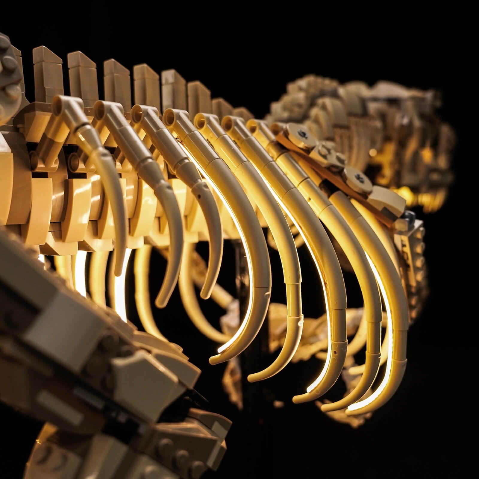 light-kit-for-lego-jurassic-world-dinosaur-fossils-tyrannosaurus-rex-76968-9