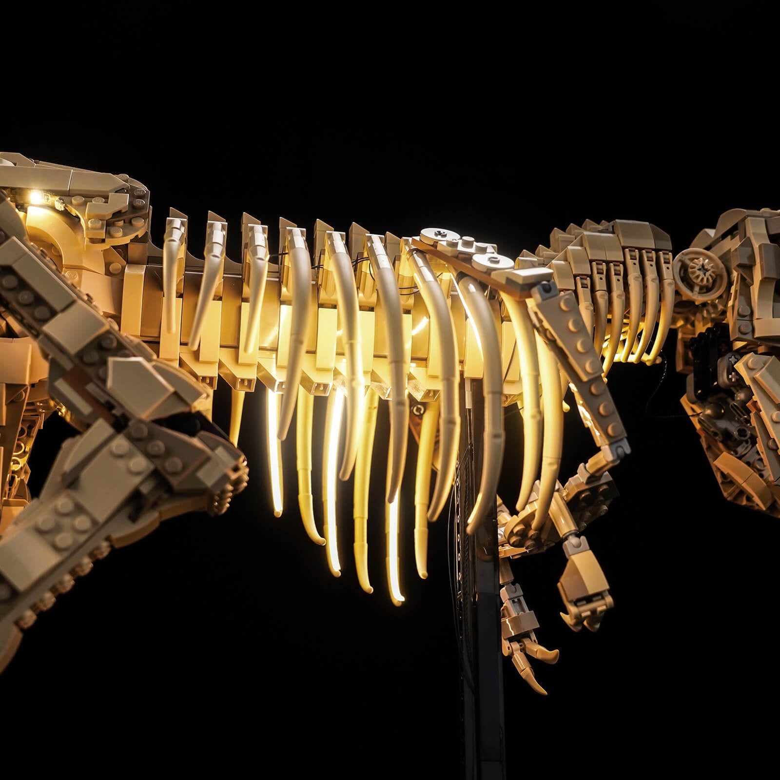 light-kit-for-lego-jurassic-world-dinosaur-fossils-tyrannosaurus-rex-76968-11