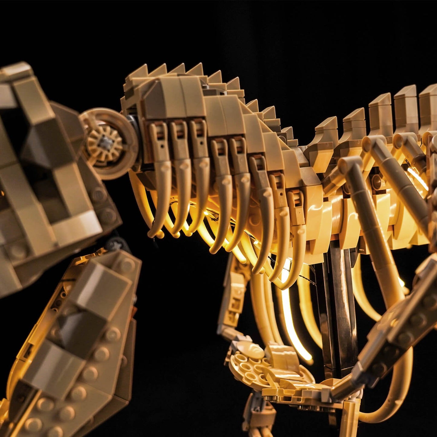 light-kit-for-lego-jurassic-world-dinosaur-fossils-tyrannosaurus-rex-76968-6
