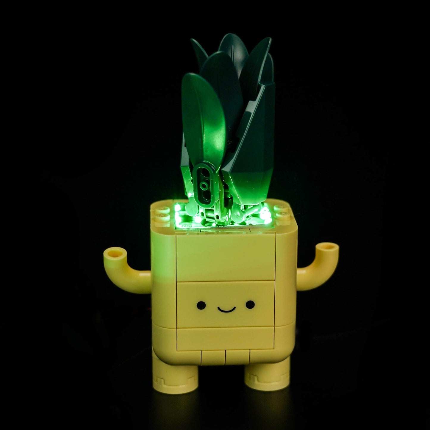 light-kit-for-lego-the-botanical-collection-happy-plants-10349-4
