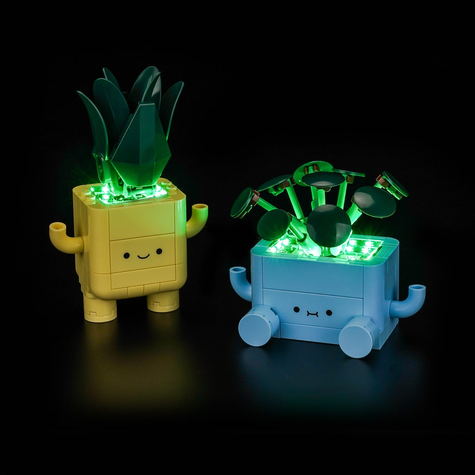light-kit-for-lego-the-botanical-collection-happy-plants-10349-2