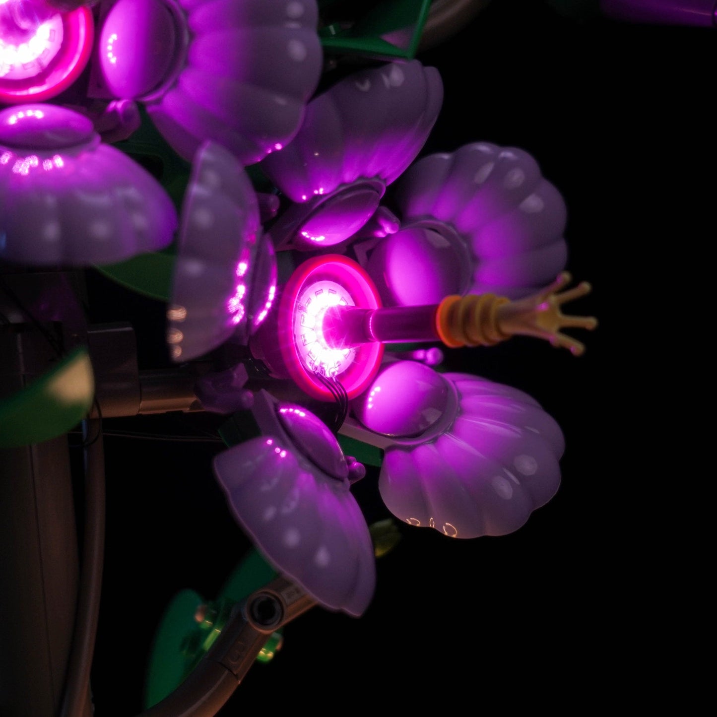 light-kit-for-lego-the-botanical-collection-hibiscus-10372-6