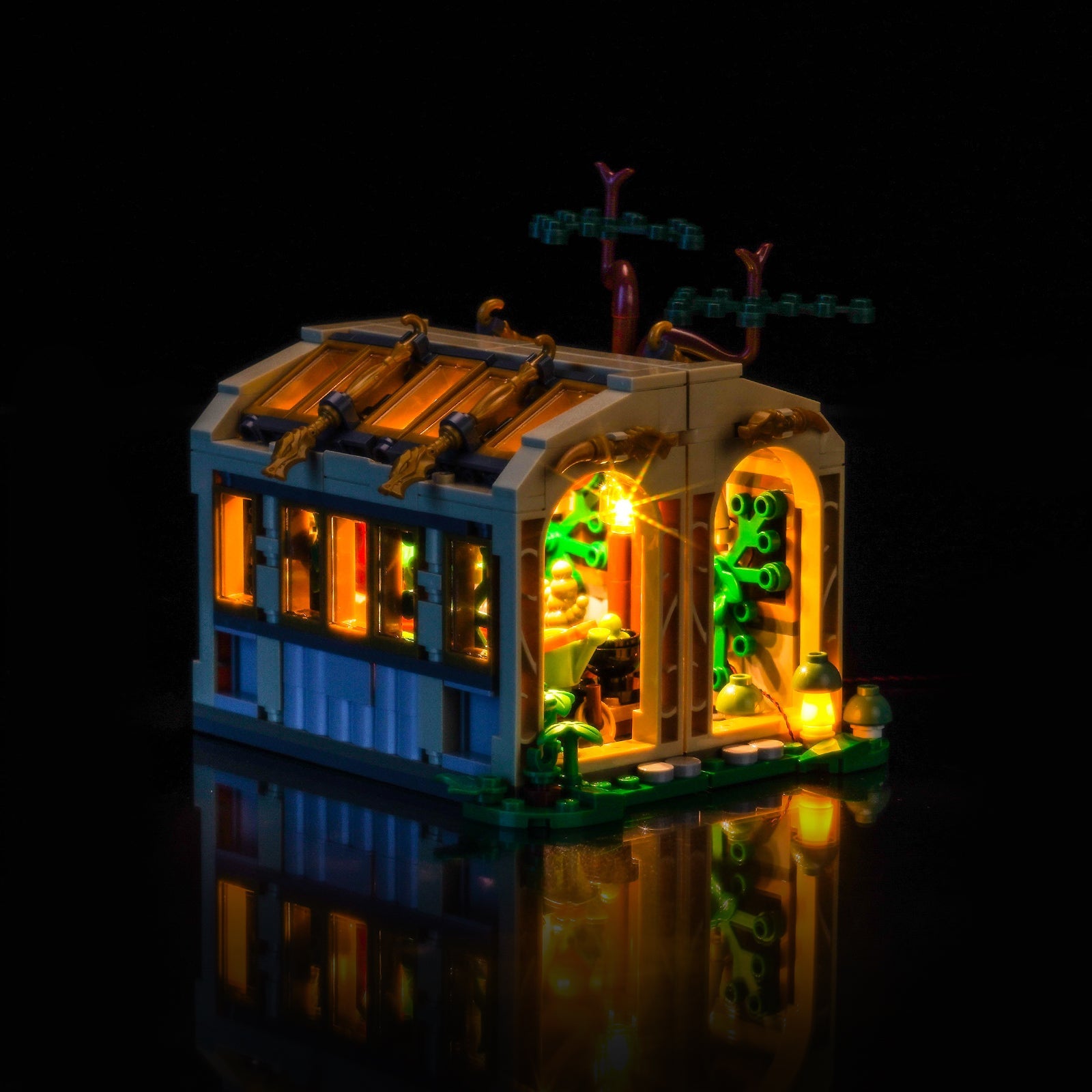 light-kit-for-lego-harry-potter-hogwarts-castle-herbology-class-76445-5