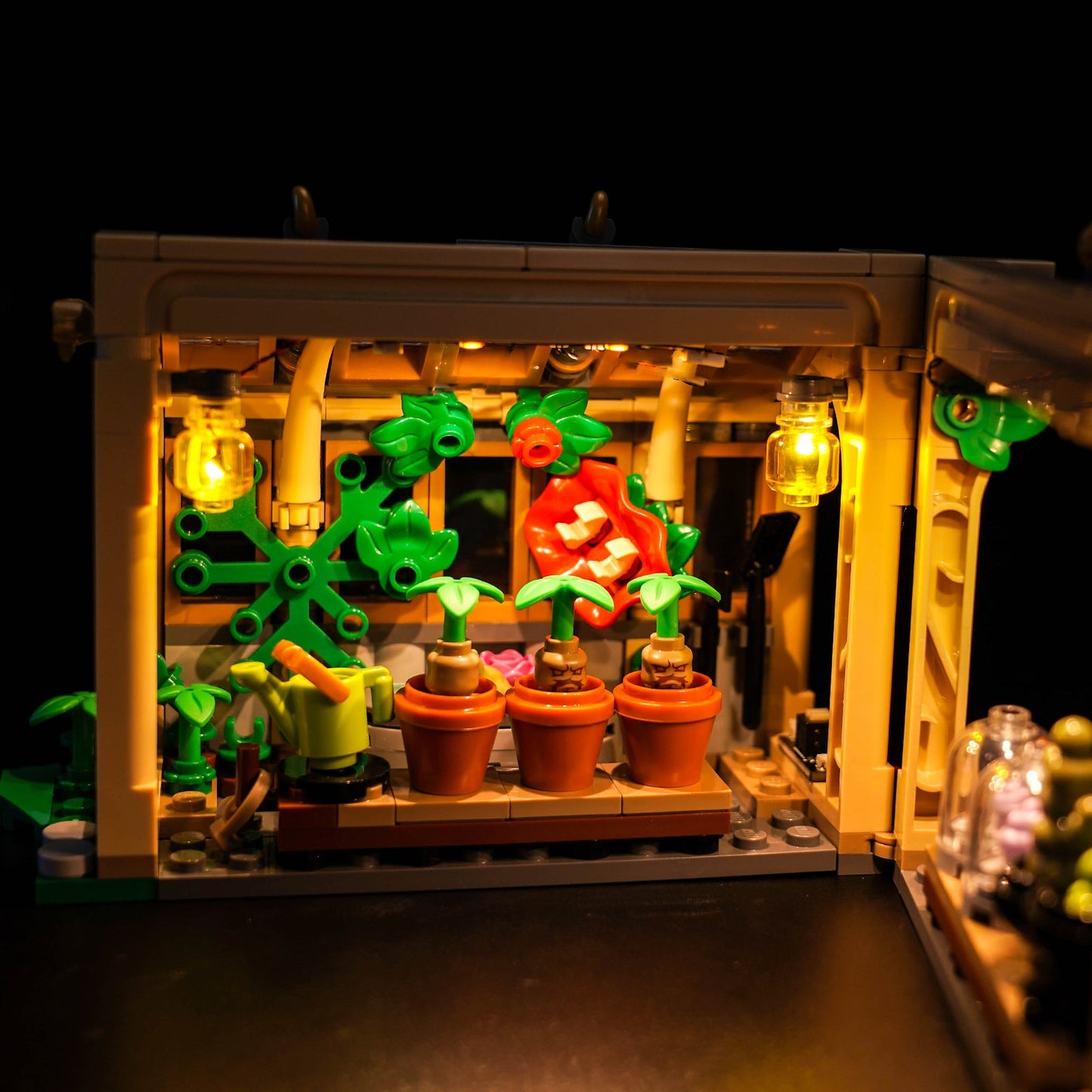 light-kit-for-lego-harry-potter-hogwarts-castle-herbology-class-76445-4