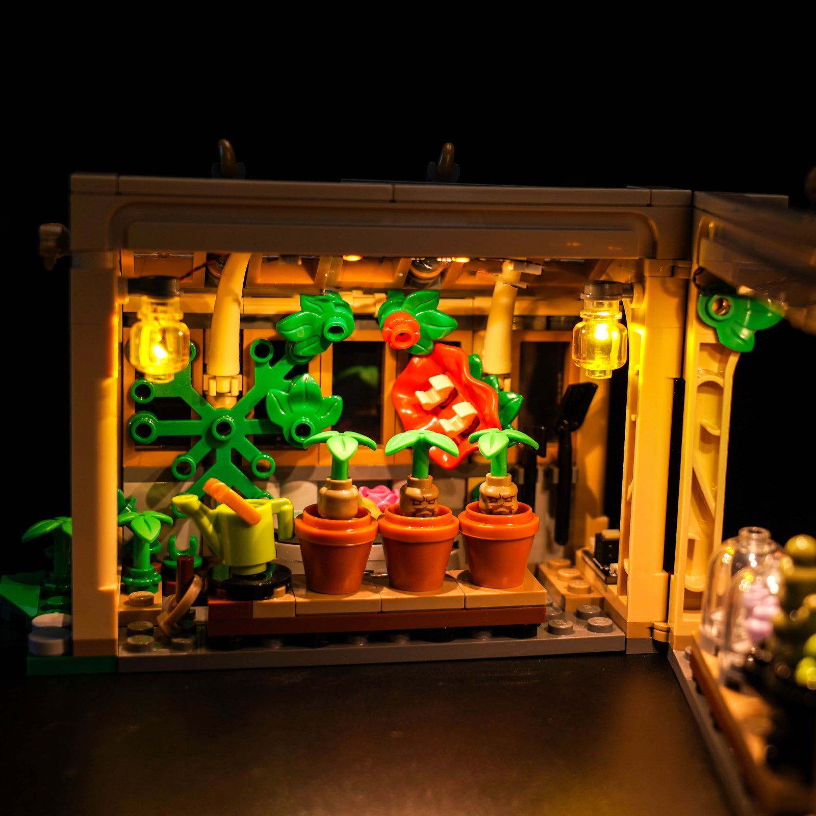light-kit-for-lego-harry-potter-hogwarts-castle-herbology-class-76445-4