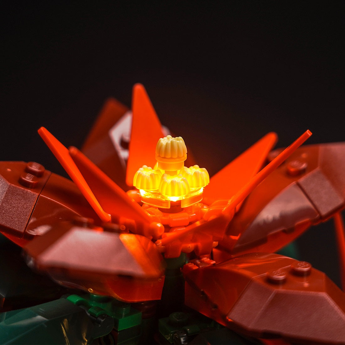 Light Kit for LEGO Icons Poinsettia 10370